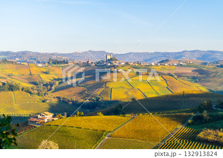 Vineyards in Piedmont Italy during autumn harvest season with Serralunga d'Alba on background Vineyards in Piedmont Italy during autumn harvest season with Serralunga d'Alba on background 132913824