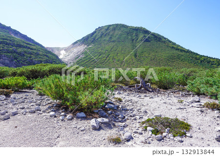 つつじヶ原自然探勝路・硫黄山のあたり 132913844