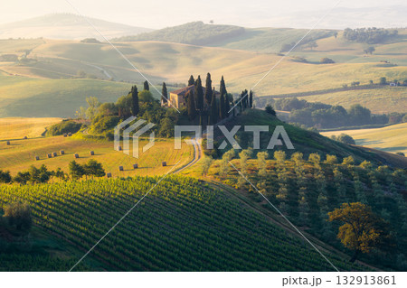 Tuscan farmers cultivate vineyards and fields around a classic farmhouse with cypress trees Tuscan farmers cultivate vineyards and fields around a classic farmhouse with cypress trees 132913861