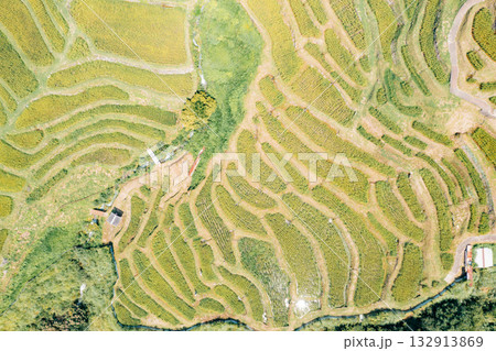 Terraced rice paddies cultivated by farmers for sustainable food production, aerial view Terraced rice paddies cultivated by farmers for sustainable food production, aerial view 132913869