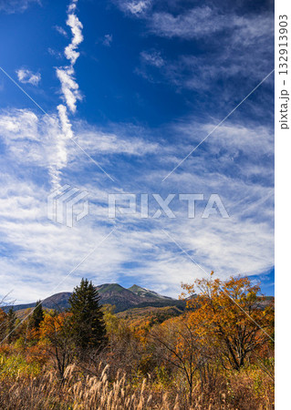 大カエデ周辺からの紅葉風景 乗鞍高原 大カエデ周辺からの紅葉風景 乗鞍高原 132913903