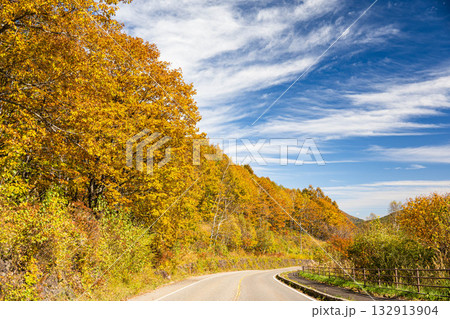 乗鞍高原の紅葉 132913904