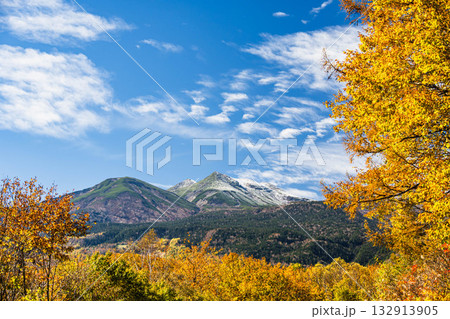 紅葉と乗鞍岳 紅葉と乗鞍岳 132913905
