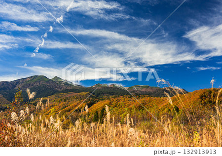 乗鞍高原の紅葉と乗鞍岳 132913913