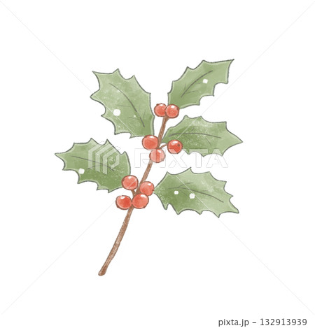 ほんわか色鉛筆風タッチのひいらぎ（クリスマス飾り） 132913939