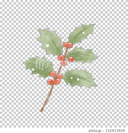 ほんわか色鉛筆風タッチのひいらぎ（クリスマス飾り） 132913939