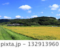 収穫前の稲と青空 132913960