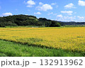 収穫前の稲と青空 132913962