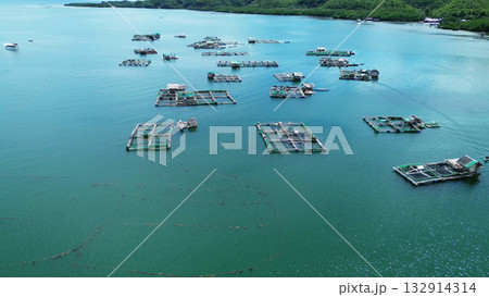 Fish farm with cages for fish and shrimp 132914314