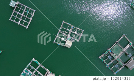 Fish farm with cages for fish and shrimp Fish farm with cages for fish and shrimp 132914315
