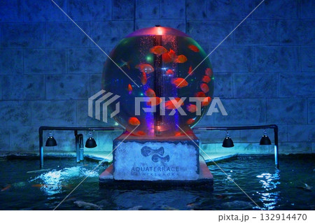 アクアテラス錦ケ丘の球体水槽に舞う赤い魚たち 132914470