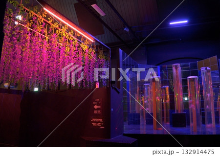 アクアテラス錦ケ丘の幻想空間と光のアート展示 132914475