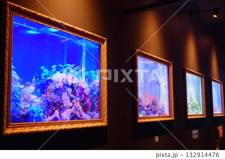 アクアテラス錦ケ丘の壁を彩る美しいアクアアート展示 アクアテラス錦ケ丘の壁を彩る美しいアクアアート展示 132914476