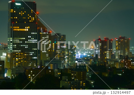 仙台城跡から望む仙台市街の夜景 132914497