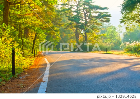 朝の光差し込む裏磐梯・五色沼への道 132914628