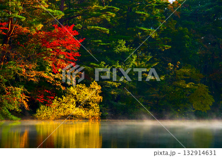 朝霧に映える五色沼・柳沼の紅葉の彩り 132914631