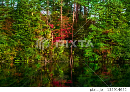 静寂の湖面に映る五色沼・柳沼の秋彩 静寂の湖面に映る五色沼・柳沼の秋彩 132914632