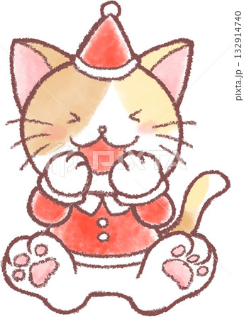 クリスマスの衣装を着たかわいい猫のイラスト クリスマスの衣装を着たかわいい猫のイラスト 132914740