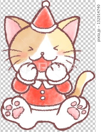 クリスマスの衣装を着たかわいい猫のイラスト クリスマスの衣装を着たかわいい猫のイラスト 132914740