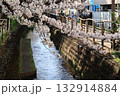 桜と川のある風景 132914884