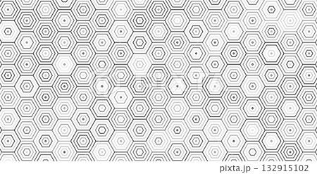 Concentric Hexagonal Pattern, Line Hexagon Geometric Background, Outline Honeycomb Texture BG. Linear Hex Backdrop Wallpaper. White Minimalistic Abstract Backgrounds. Vector Illustration 132915102