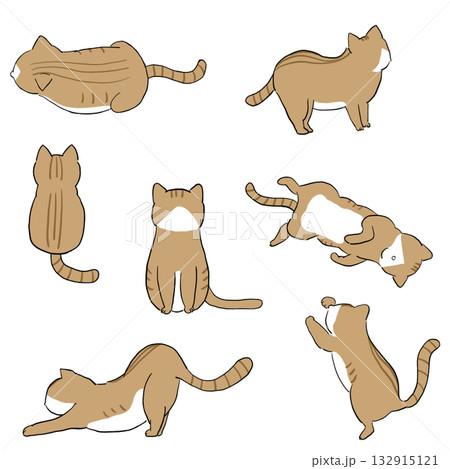 色々なポーズの猫イラストセット 色々なポーズの猫イラストセット 132915121