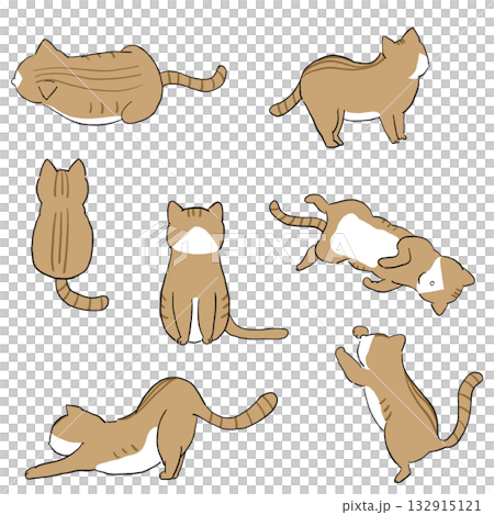 色々なポーズの猫イラストセット 色々なポーズの猫イラストセット 132915121