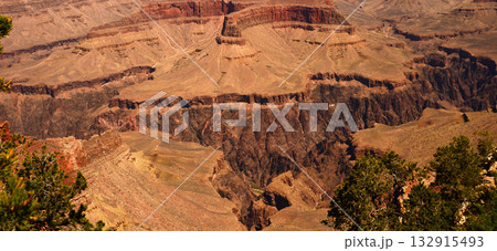 Grand Canyon Arizona Grand Canyon Arizona 132915493