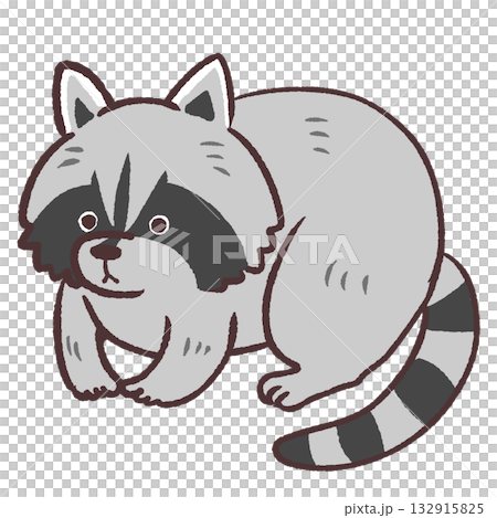 可愛的浣熊插圖 132915825