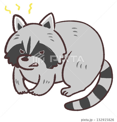 いらだつアライグマのイラスト 132915826