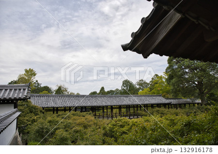 東福寺 方丈から見た青楓に浮ぶ通天橋4 東福寺 方丈から見た青楓に浮ぶ通天橋4 132916178