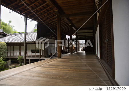 東福寺 本坊のきれいな廊下2 東福寺 本坊のきれいな廊下2 132917009