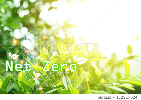 Net zero icon and carbon neutral concept for net zero greenhouse gas emissions target, climate neutral long term strategy on green background. Net zero icon and carbon neutral concept for net zero greenhouse gas emissions target, climate neutral long term strategy on green background. 132917024