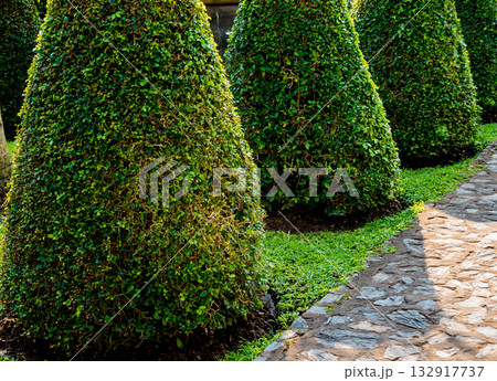 Luxury landscape design of the tropical garden. Luxury landscape design of the tropical garden. 132917737