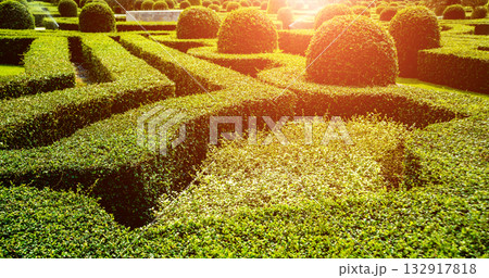 Luxury landscape design of the tropical garden.  132917818