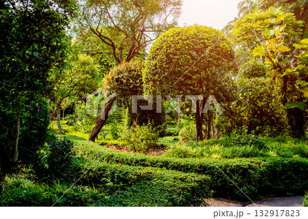 Luxury landscape design of the tropical garden. Luxury landscape design of the tropical garden. 132917823