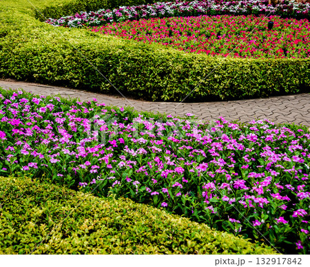 Luxury landscape design of the tropical garden. Luxury landscape design of the tropical garden. 132917842