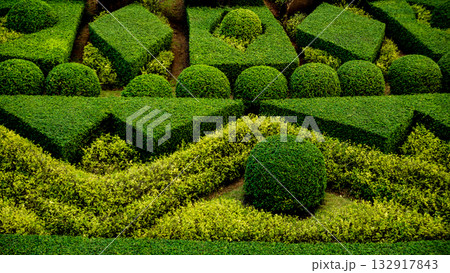 Luxury landscape design of the tropical garden. Luxury landscape design of the tropical garden. 132917843