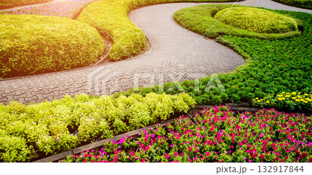 Luxury landscape design of the tropical garden. Luxury landscape design of the tropical garden. 132917844