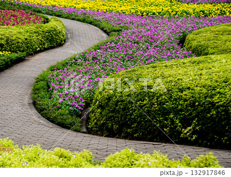 Luxury landscape design of the tropical garden.  132917846