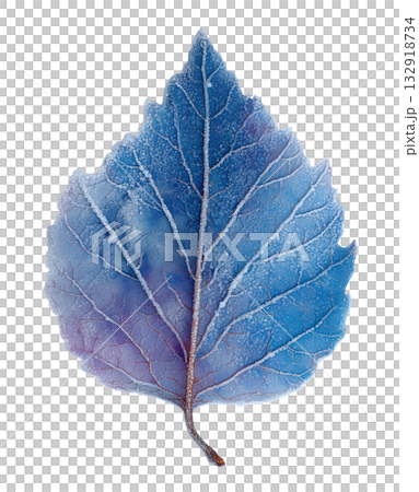 Frozen Autumn Leaf 132918734