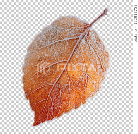 Frozen Autumn Leaf 132918755