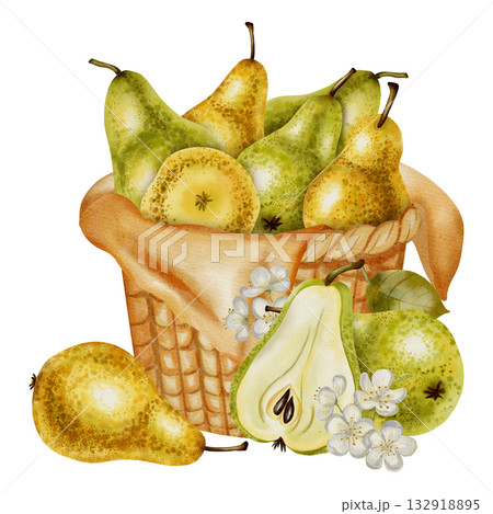 Hand painted watercolor illustration of a woven basket filled with various whole and sliced green and yellow pears. Perfect for harvest festival design, packaging, and rustic decor Hand painted watercolor illustration of a woven basket filled with various whole and sliced green and yellow pears. Perfect for harvest festival design, packaging, and rustic decor 132918895