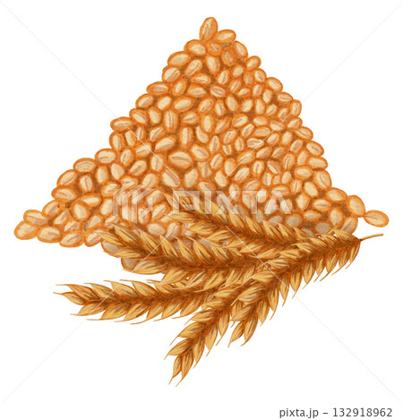 Watercolor illustration of a pile of wheat grains. Wheat ears. Perfect for food packaging, cereal branding, baked goods designs, and images featuring raw or natural ingredients. Watercolor illustration of a pile of wheat grains. Wheat ears. Perfect for food packaging, cereal branding, baked goods designs, and images featuring raw or natural ingredients. 132918962