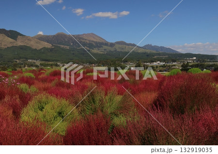 阿蘇山とコキア 阿蘇山とコキア 132919035