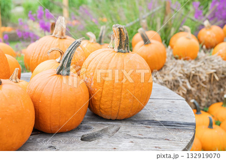 autumn decorations many ripe pumpkins for halloween on wooden table autumn decorations many ripe pumpkins for halloween on wooden table 132919070