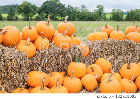 autumn decorations many ripe pumpkins for halloween 132919083