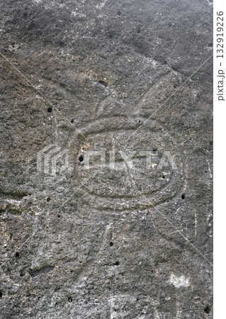 Ancient turtle petroglyph at Marae Manunu on Huahine island, French Polynesia Ancient turtle petroglyph at Marae Manunu on Huahine island, French Polynesia 132919226
