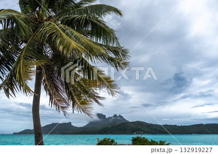 Bora Bora Island View from Palm Tree Beach in French Polynesia 132919227