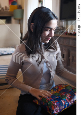 christmas objects decoration for a family celebration christmas objects decoration for a family celebration 132919465